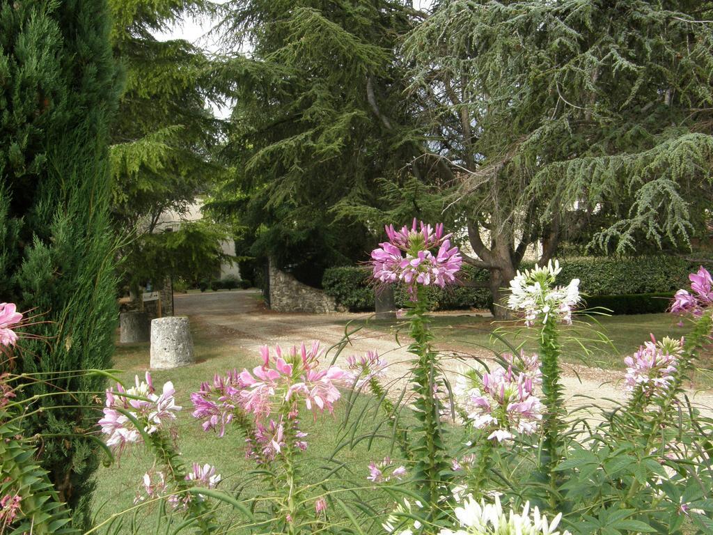 Chambres D'Hotes Domaine De La Brette Moncrabeau Номер фото